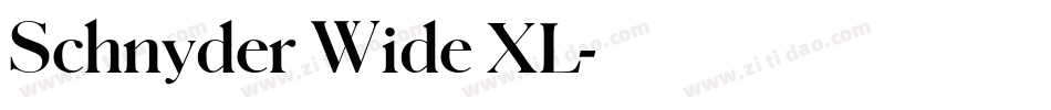 Schnyder Wide XL字体转换